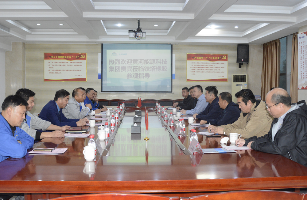 內(nèi)蒙古客人蒞臨開(kāi)封鐵塔橡膠參觀(guān)考察
