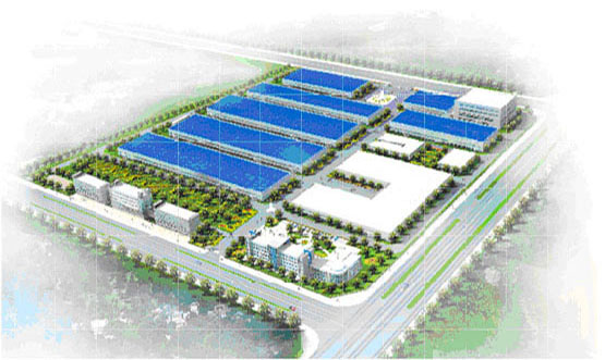 Company Introduction