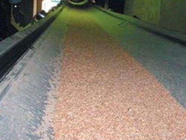 Oil resistant conveyor belt
