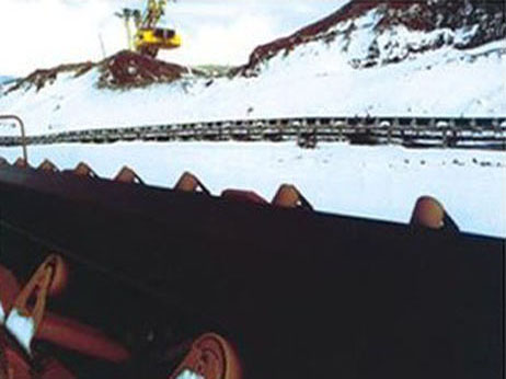 Cold resistant conveyor belt