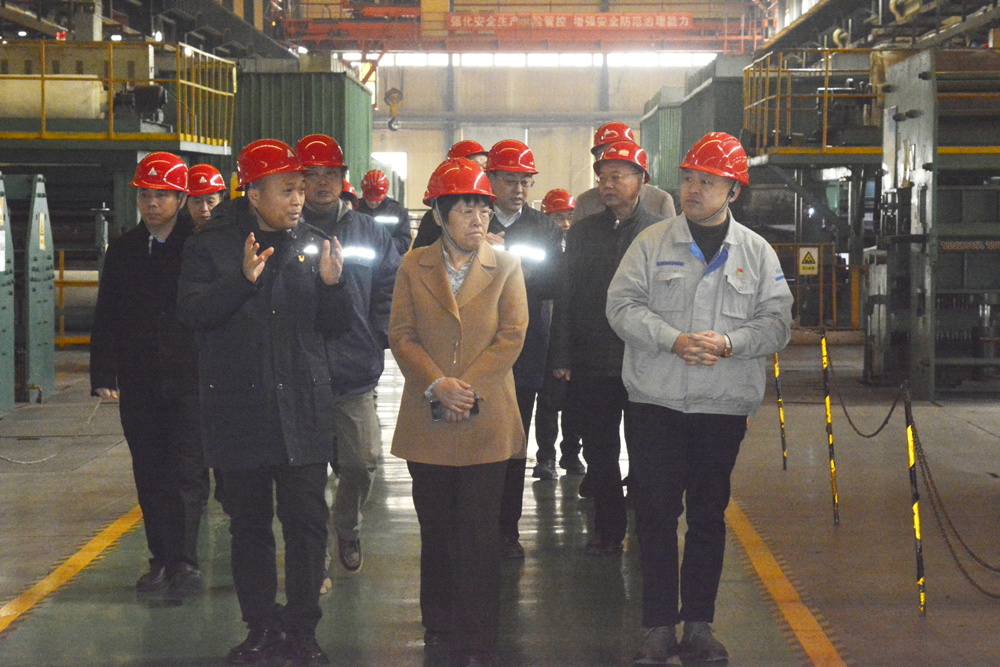 集團公司領(lǐng)導(dǎo)蒞臨開封鐵塔橡膠 調(diào)研“一季度”開門紅和安全包保工作