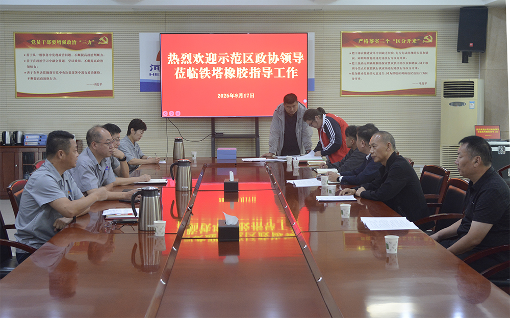 開封市示范區政協領導蒞臨開封鐵塔橡膠調研督導安全環保工作